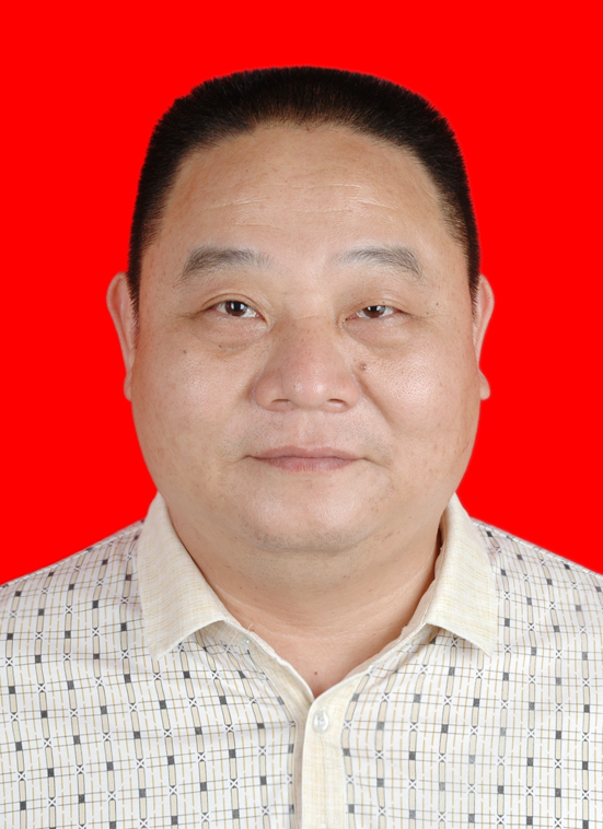 陈国平