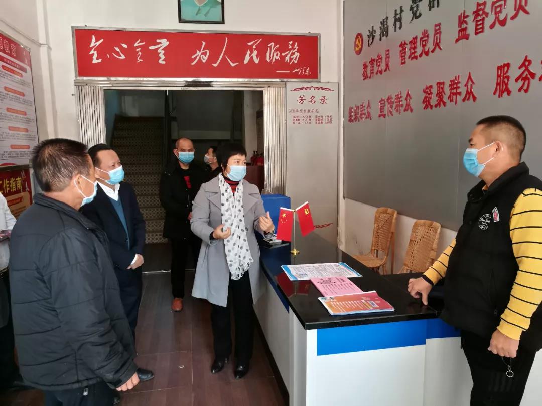 县委常委罗丽思到河东镇检查指导疫情防控工作