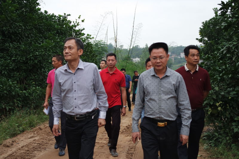 五华新闻网 - 即时报 - 广州市番禺区钟村街道到安流