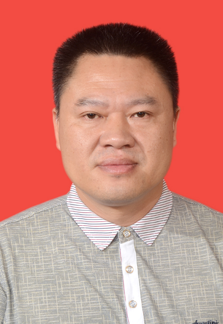 党委副书记,镇长