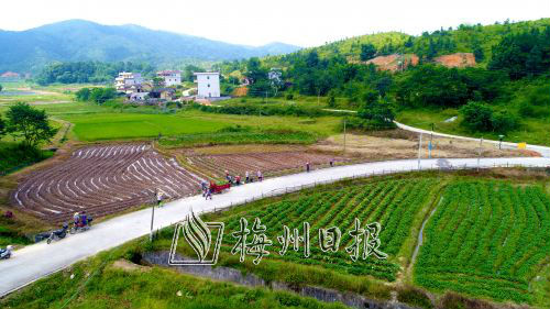 郭田镇的高山红薯种植基地为当地村民带来了务工、土地出租两份收入。 
