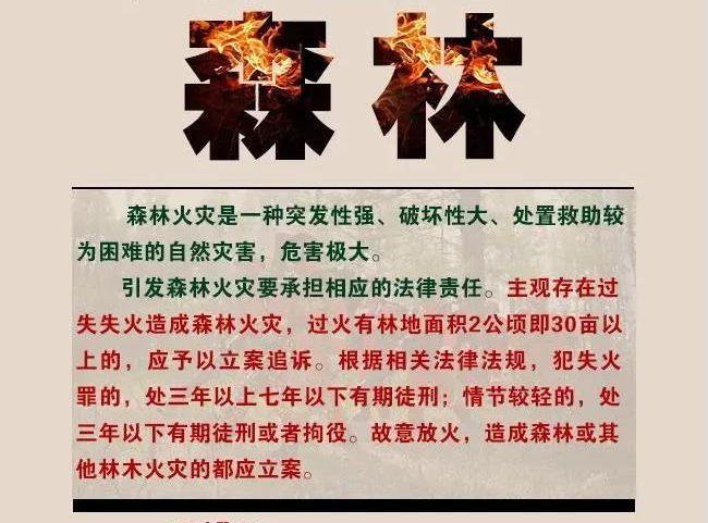 下载 (1).jpg