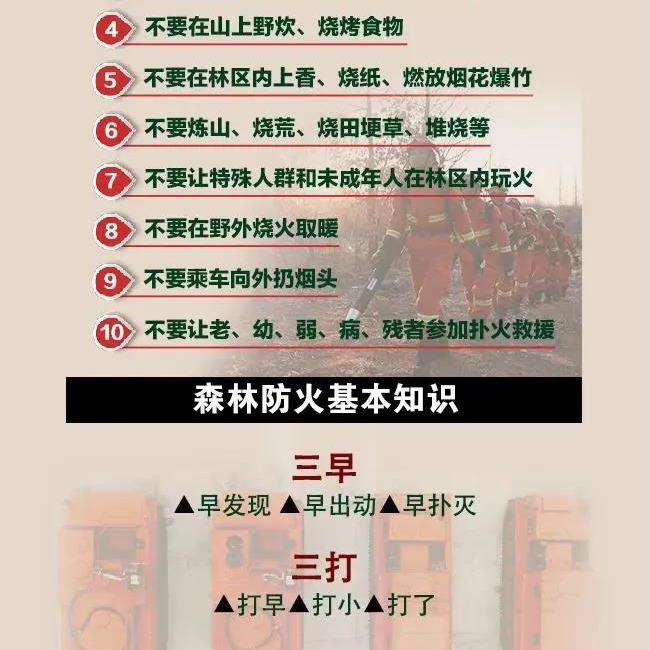 下载 (4).jpg