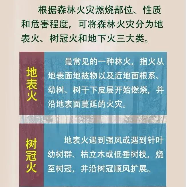 下载 (6).jpg