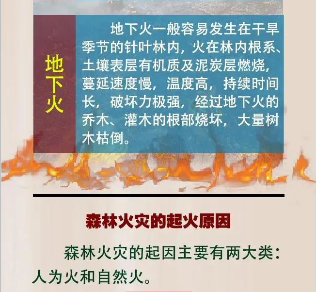 下载 (7).jpg