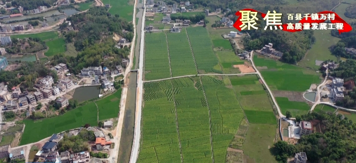 河东镇：厚植产业发展优势 打造美丽乡村示范 助力镇域经济高质量发展