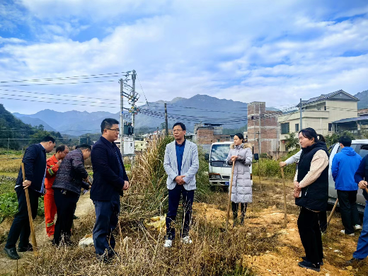 已编辑图片