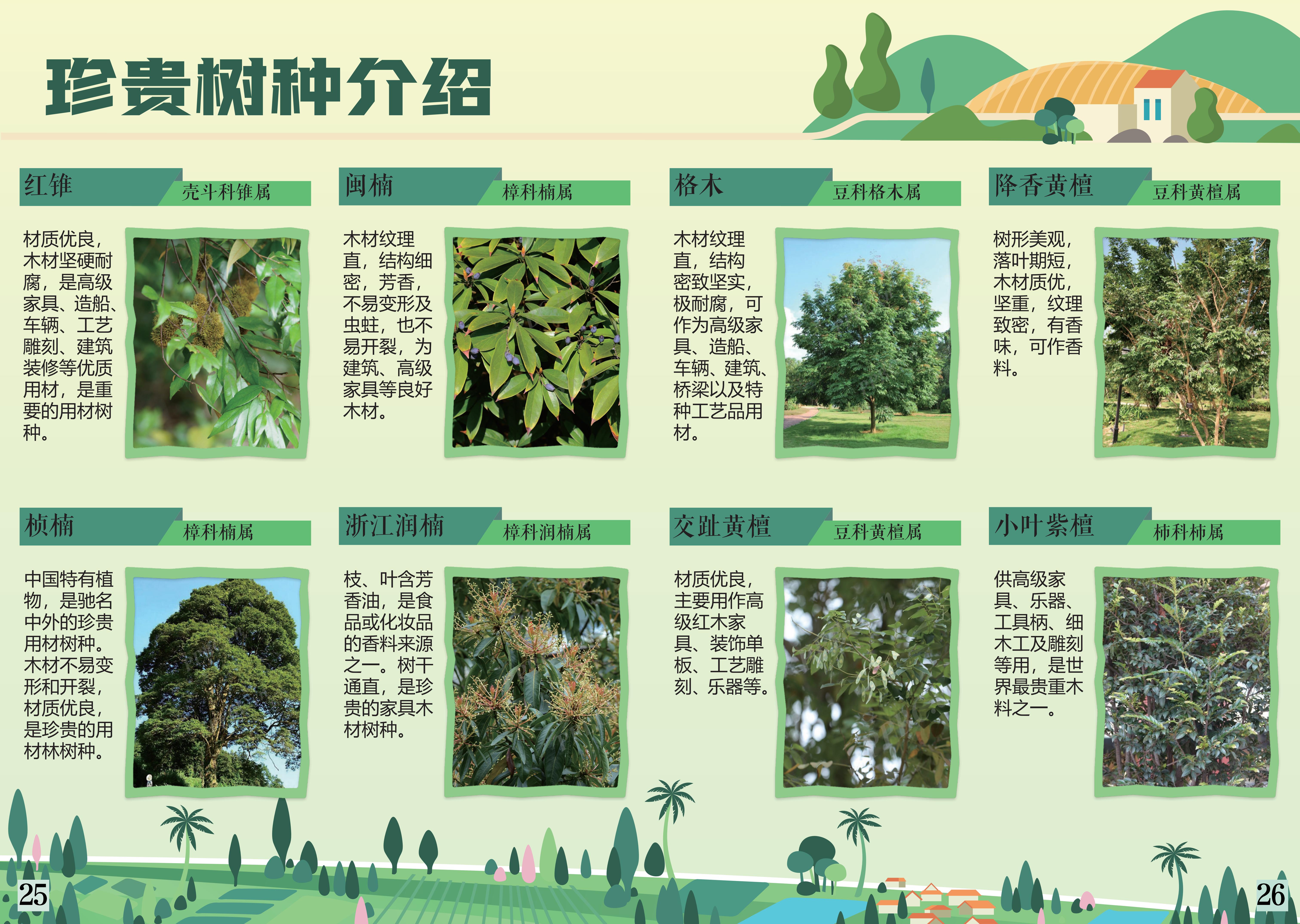 一图了解乡村绿化宣传册2023.12.27_14.jpg