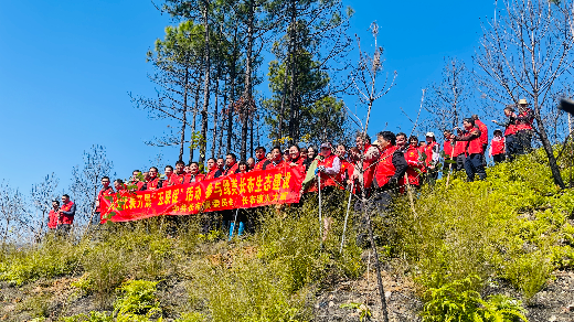 已编辑图片