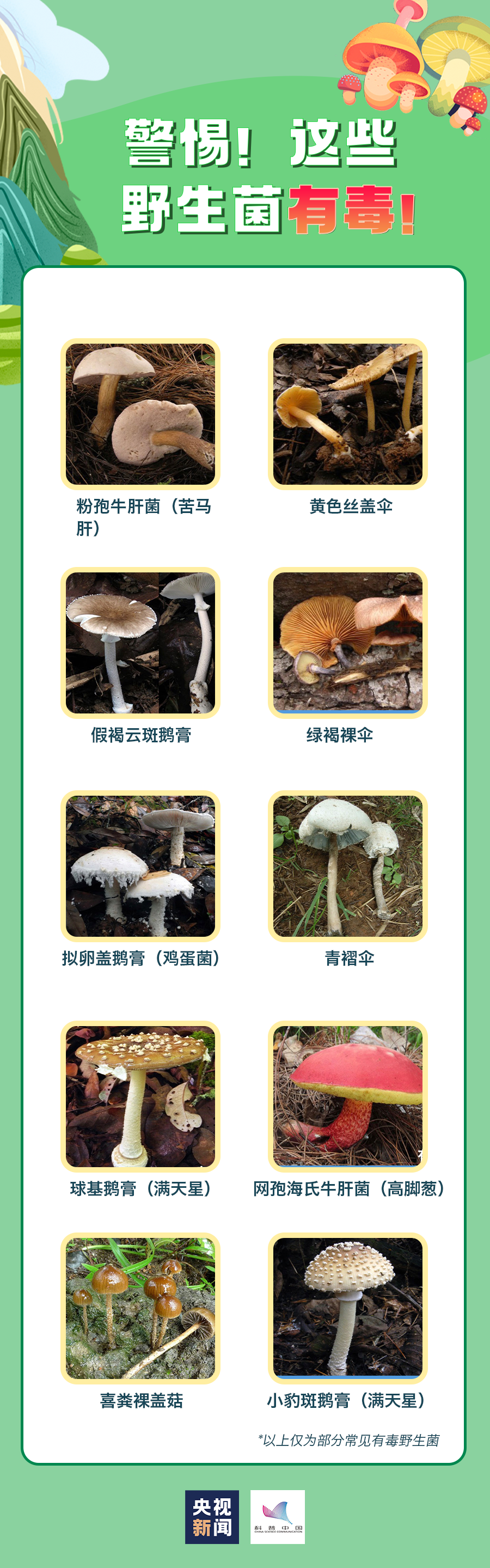 97aa29afdc22a1599efc4b02c35af7a39193e8ed67d94e4169e4116343bbae24.jpg