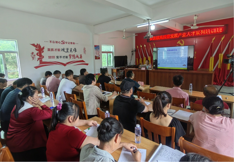 图片12_proc