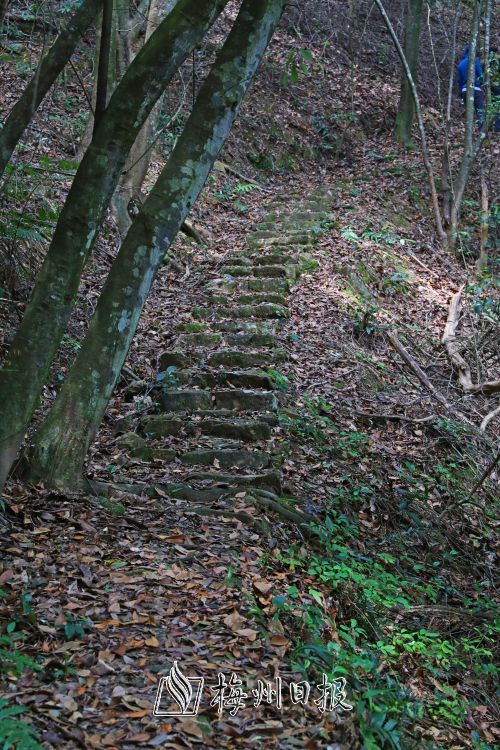 大眉山古驿道为传递封山圣旨而铺筑。