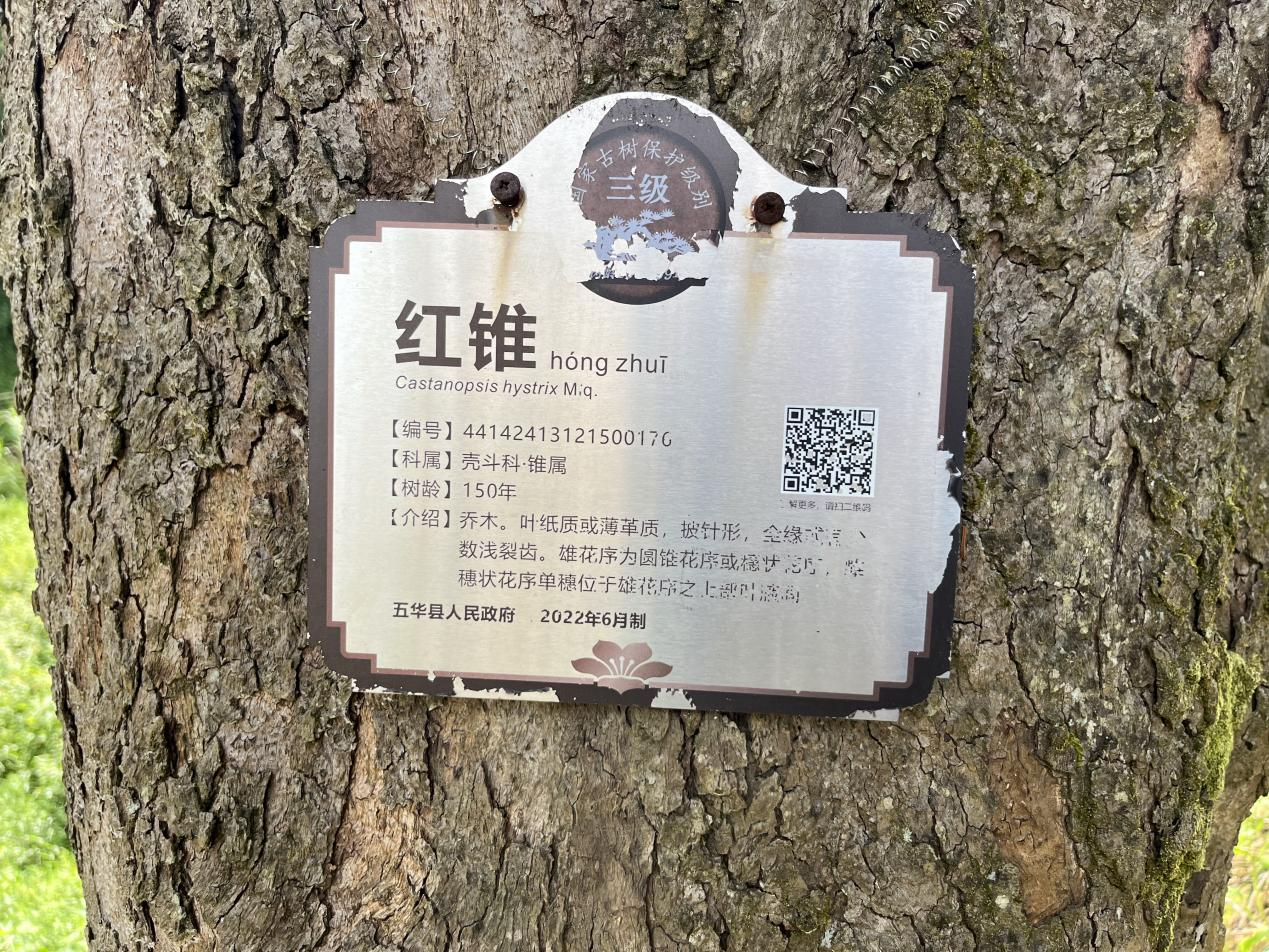 图片6.png