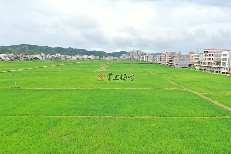 微信图片_20200522174000.jpg