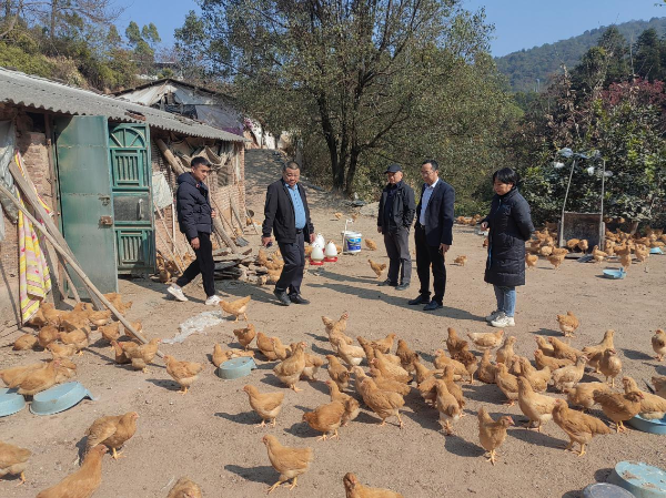 图片6.png