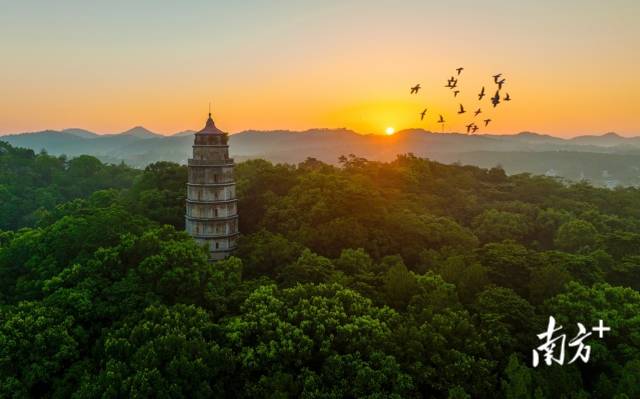 狮雄山秦汉遗址是全国重点文物保护单位。张荣华 摄