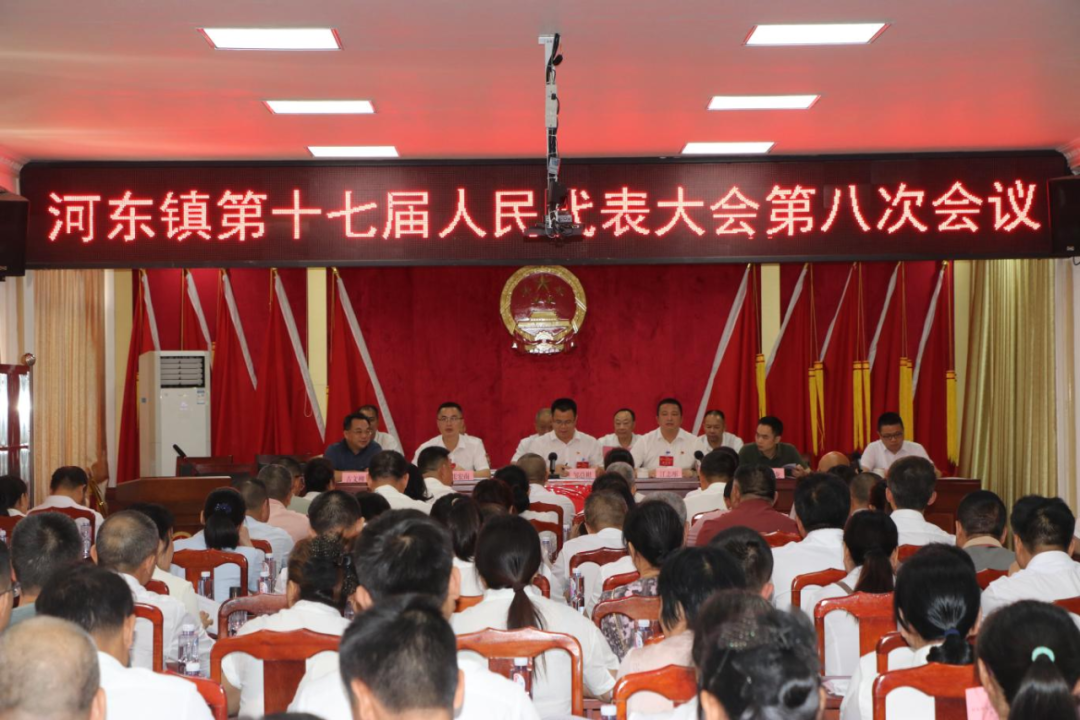 河东镇第十七届人民代表大会第八次会议胜利召开