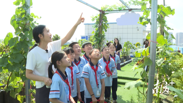 劳动育心，五华县第八小学让红领巾在田间地头绽放光彩