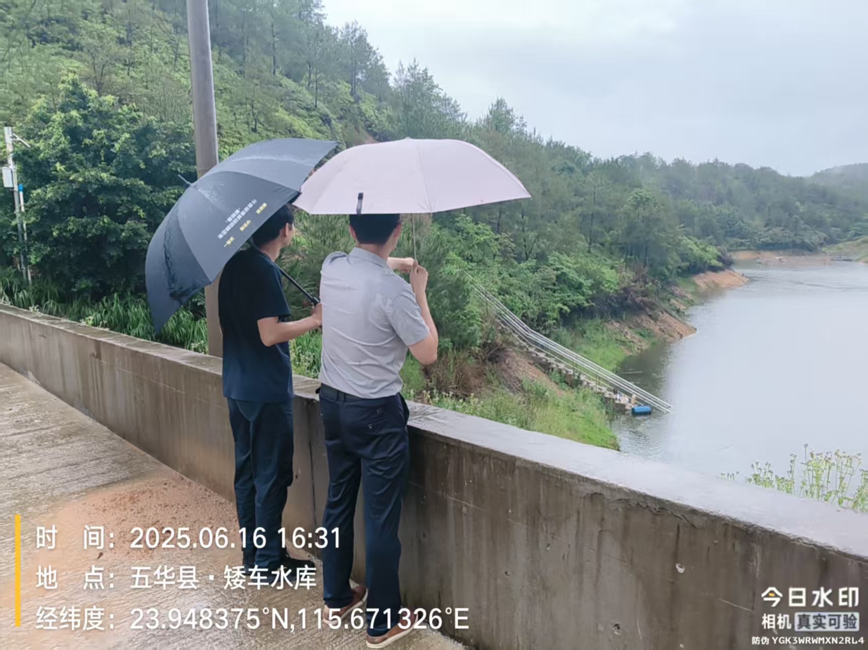 3833e63b430ebfdb272d19d1dda7839.jpg