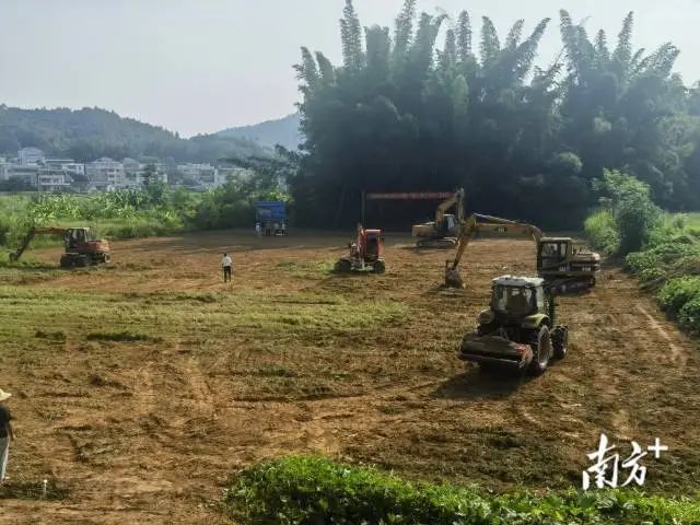 钟少岳