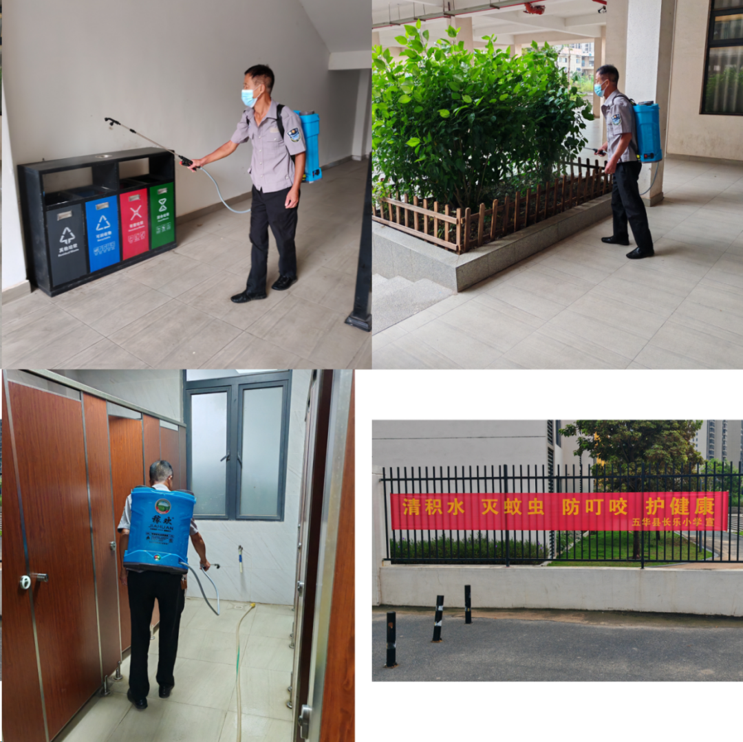 县教育系统积极开展防蚊灭蚊行动 全力防控基孔肯雅热和登革热