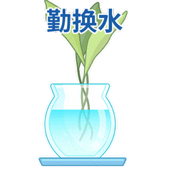 13倒积水.gif