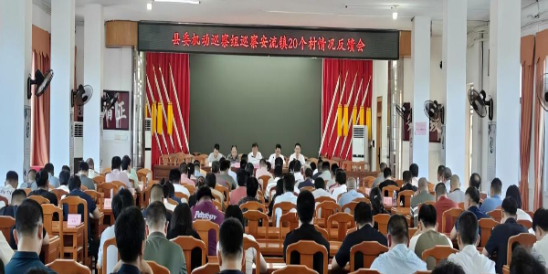 以铁腕整改抓落实——安流镇召开县委机动巡察组巡察安流镇20个村党组织情况反馈会(1).png