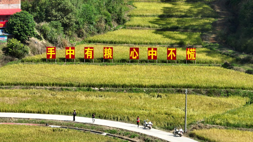 图片11.png