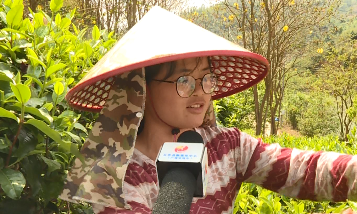 微信图片_2026-04-10_150147_648.png