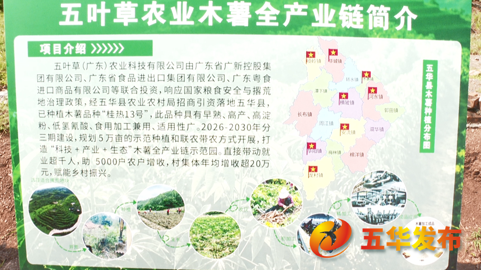 微信图片_2026-06-11_162411_707.png