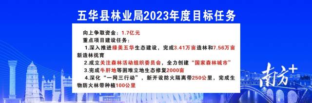 林业局.jpg