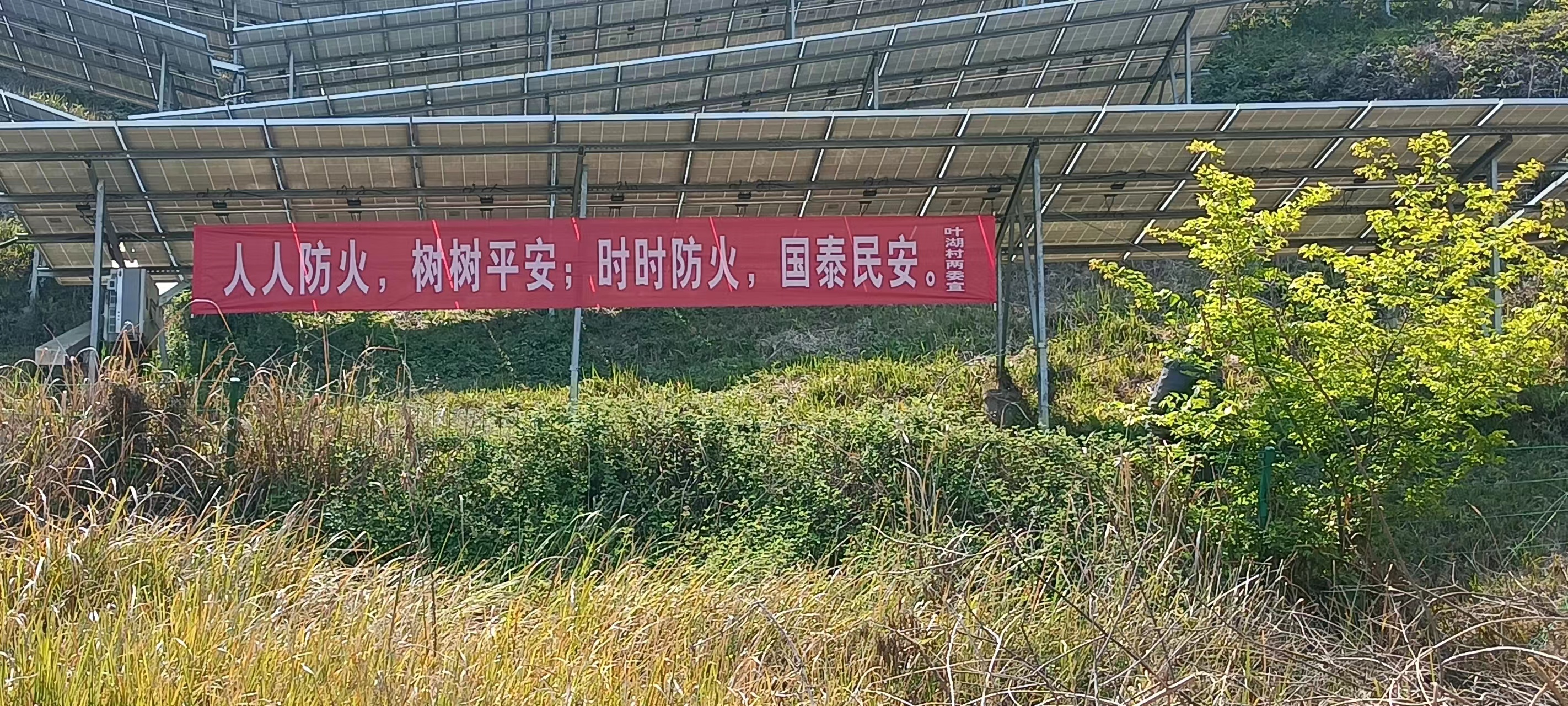 护林防火不打烊横陂镇全力做好森林防灭火工作