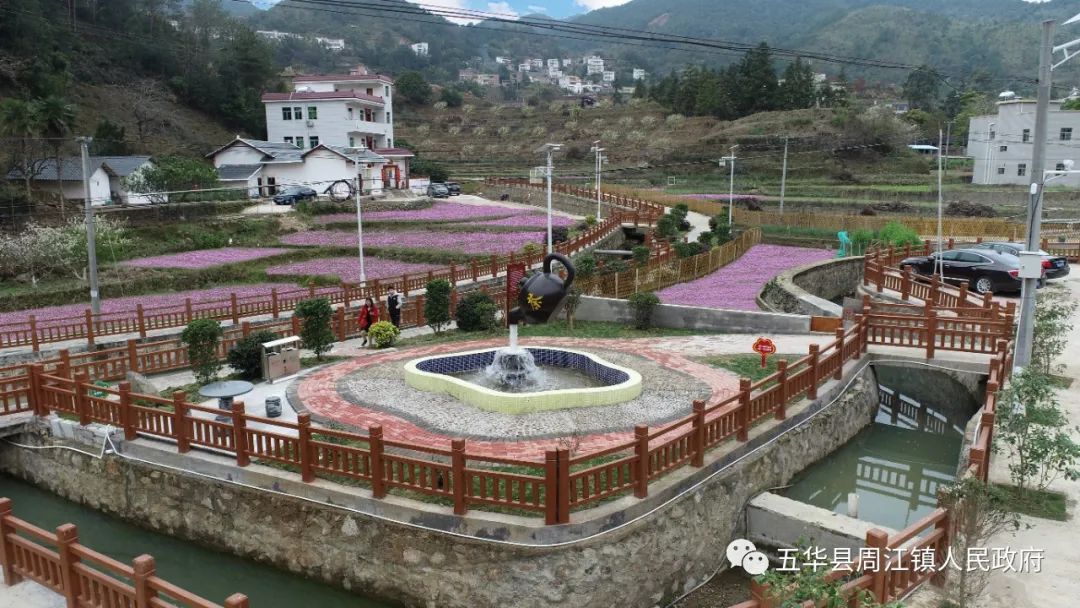 春寒料峭 格桑花开 打卡周江 红色村 感悟革命力量