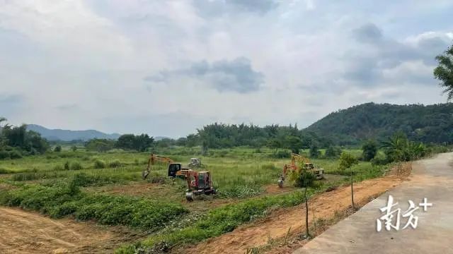 钟少岳